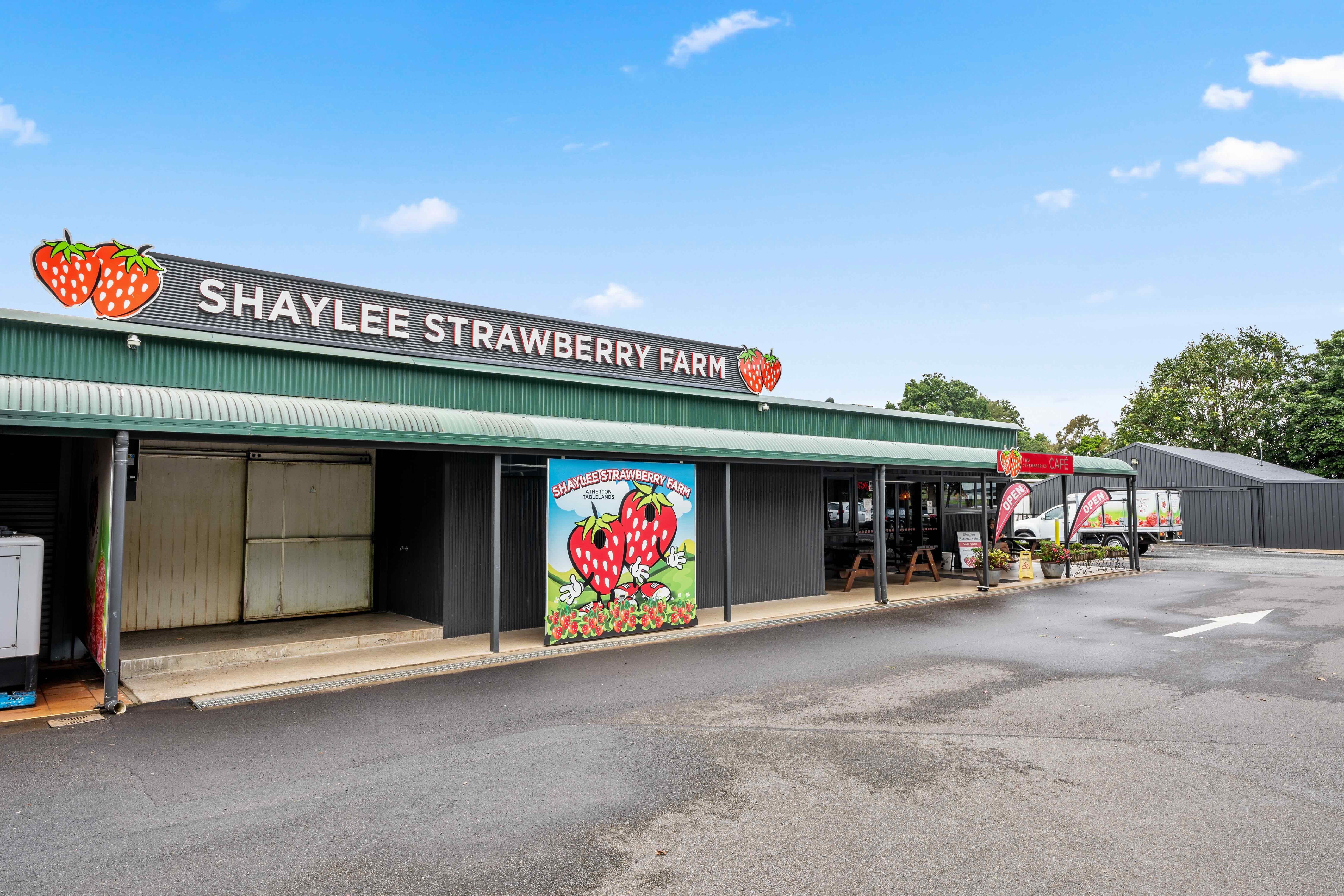 Shaylee Strawberry Farm_03