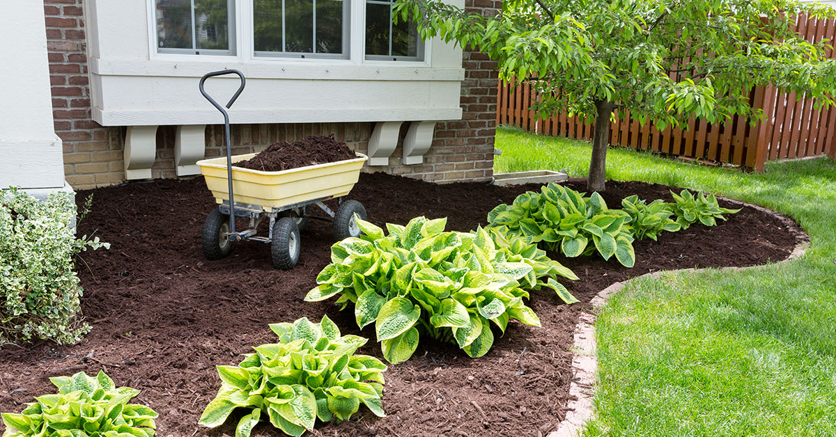 4 Ways to Spruce Up Your Garden Before You Sell